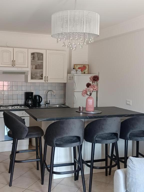 Appartamento Motovunska 39A Porec Esterno foto